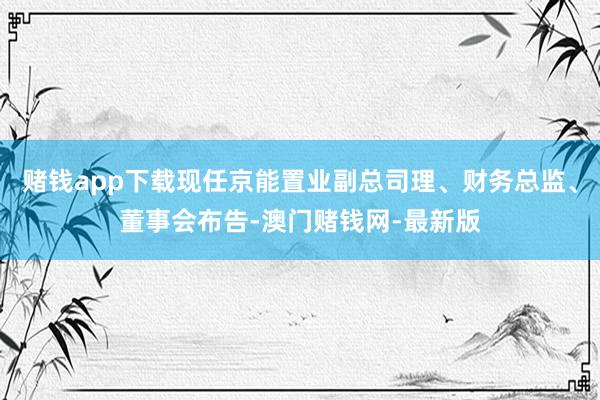 赌钱app下载现任京能置业副总司理、财务总监、董事会布告-澳门赌钱网-最新版